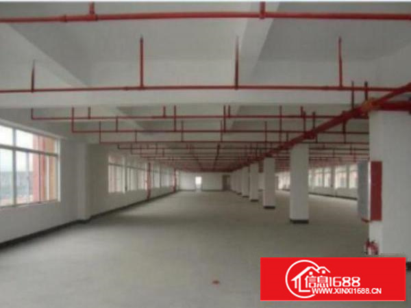 万江标准独院1出租5001500、2000平方出租