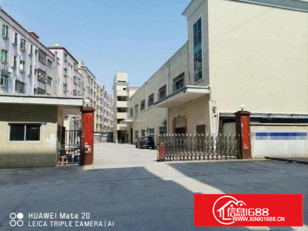 塘厦田心新出2080平方标准独院，院子空地大，配套齐全形象好