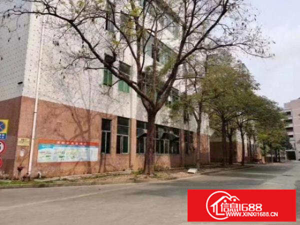 光明红本独院加独栋实际面积厂房