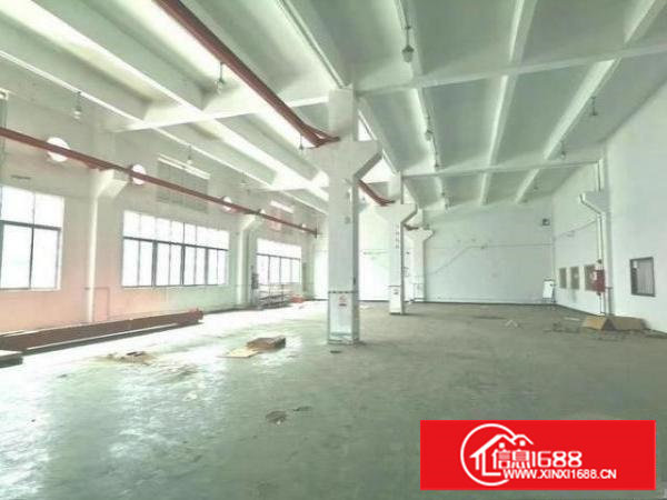 长安汽车站新出实际面积独院厂房出租3800平米一楼高6米