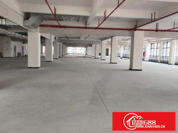 大朗富民工业城55000平招租,每层4200平,可办环评