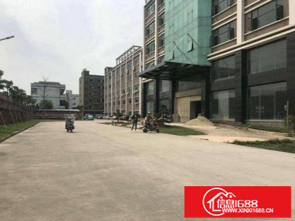 出租龙岗区坪地新出一楼700平方