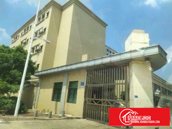 茶山原房东小办公室200，适合电子，办公，电子商务，价格13