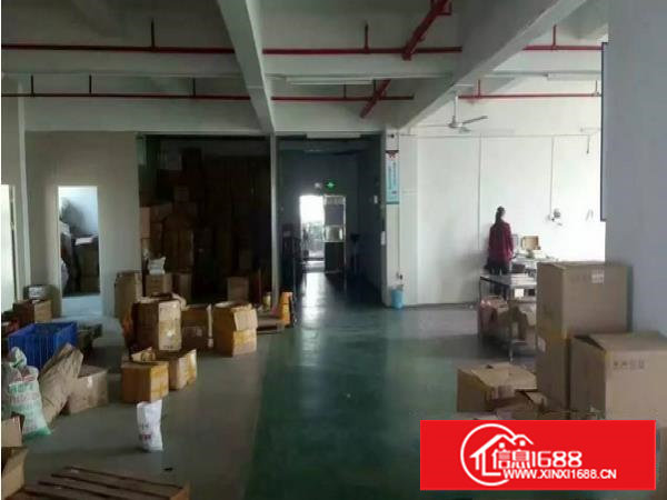 长安涌头新出楼上600平方带装修厂房出租带地坪漆