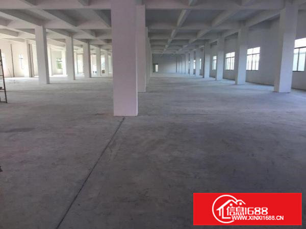 出租企石分租一楼