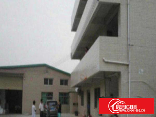 万江新村独门独院单层铁皮房1300方厂房出租地段繁华，交通便