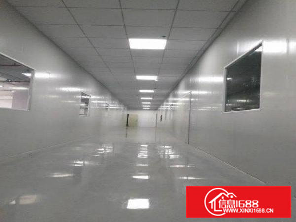 （出租)长安乌沙新出无尘车间1000平，水电齐全不堵车