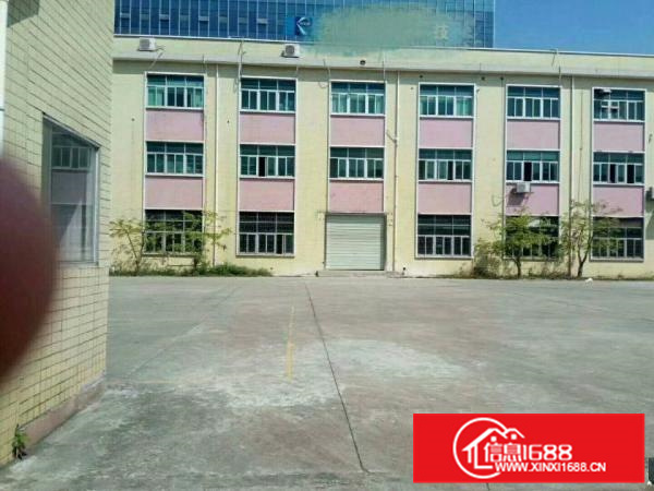 惠阳新圩东风新出1600平标准厂房一楼出租楼高6米