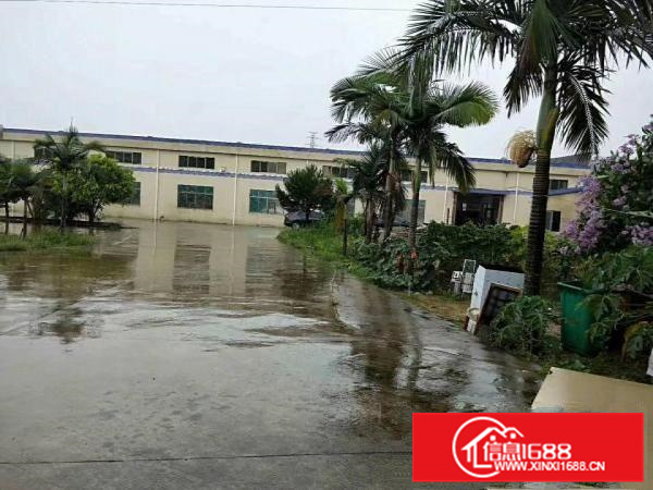 秋长刚出单一层5000平花园式厂房