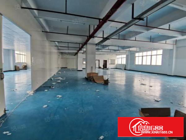 原房东工业园厂房出租中层整层面积1650平方米豪华装修