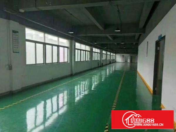 茶山京山村原房东厂房一楼500平方出租、地坪漆