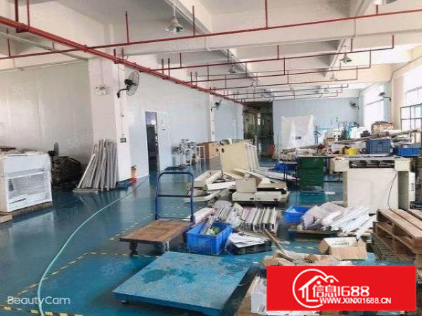 大岭山新出标准厂房800平，有精装修办公室，性价比高