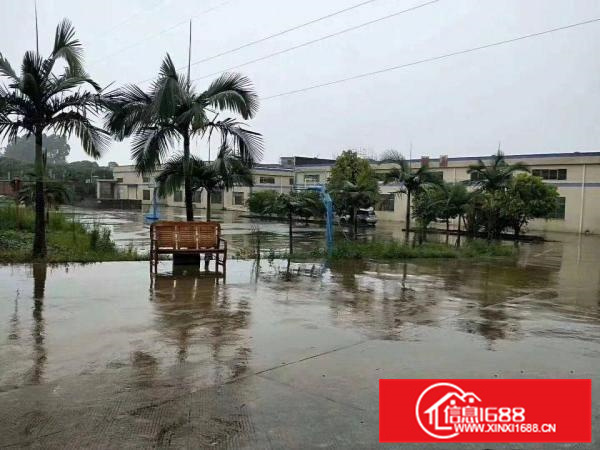 新圩少见原房东厂房出租