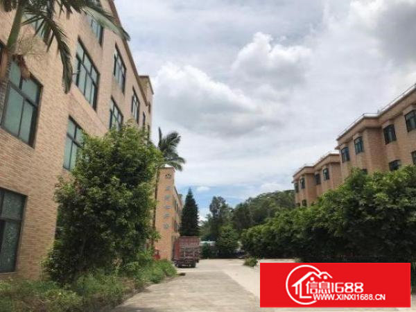 深圳观澜交通方便独院厂房