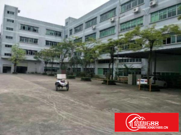 万江工业区标准一楼1000平方招租、消防水电齐全，交通方便