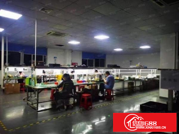 凤岗五联村新出楼上850平方精装修无尘车间