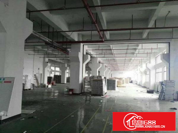 大岭工业区新出一楼精装修办公室1100平方厂房招租