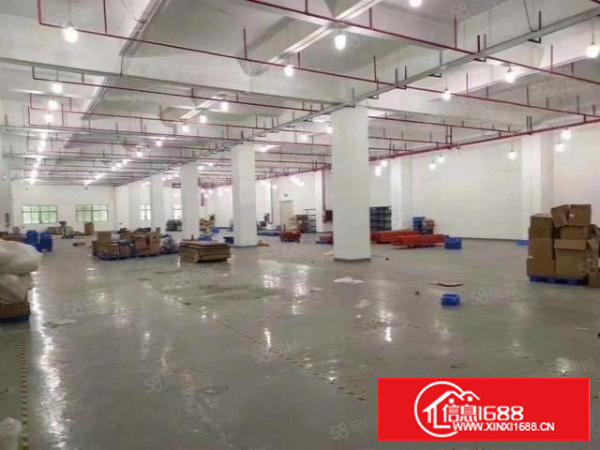 塘厦石马新出二楼1600平米带装修厂房出租