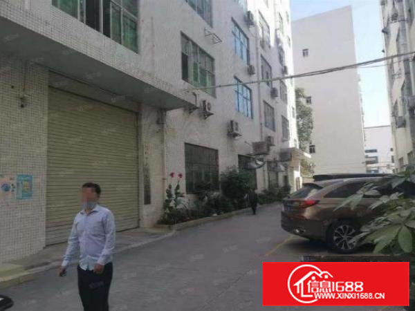 石排田边一楼650平厂房出租带装修独立办公室