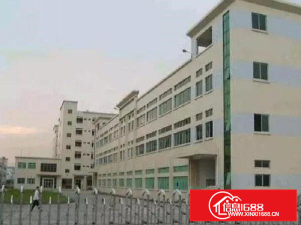 横沥独门独院标准厂房11000平方出租或分租喷淋消防