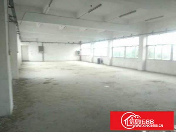 坪山新出480平一楼标准厂房出租