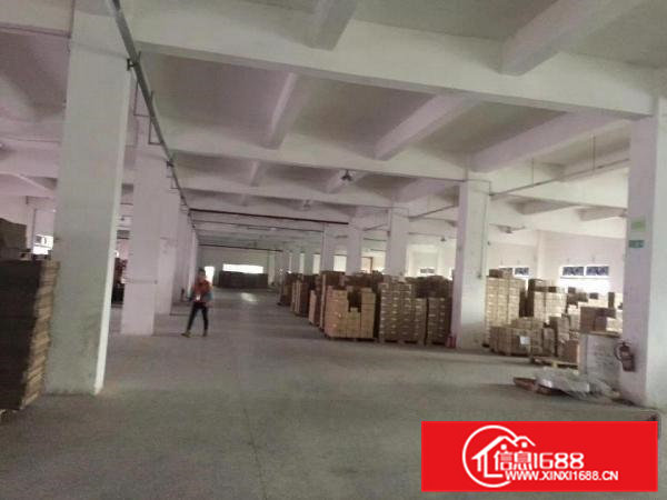 大马路边水泥房一楼厂房900方宿舍300方