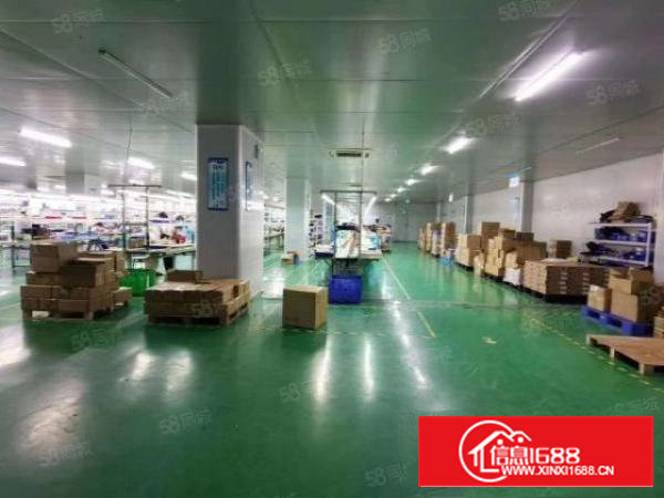 沙井步涌大兴二路新出楼上2200平方全新装修厂房