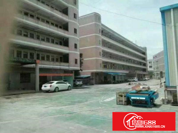 清溪铁松带装修标准一楼500平方出租，地理位置优越