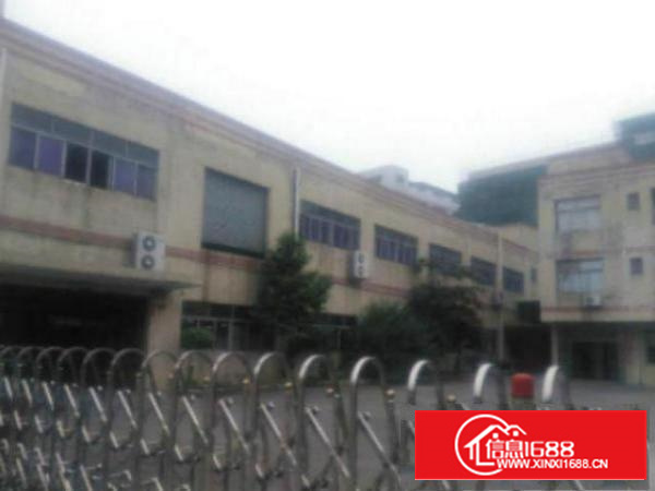 万江1300平方单一层独院厂房招租形象好、有现成豪华装修办公