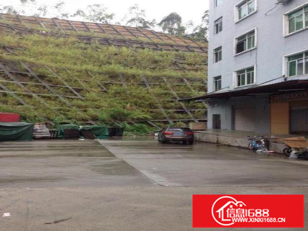 房东直租！丹竹头一楼厂房400平租金12000元，适合仓库