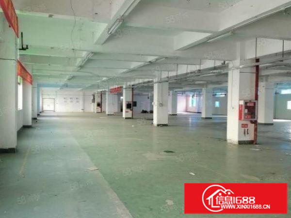 横岗安良1000厂房出租