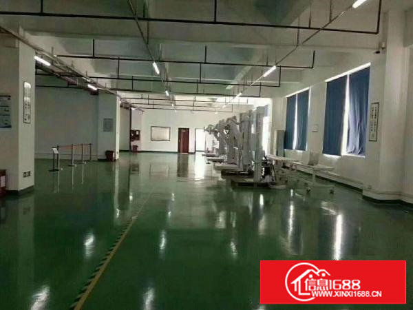 塘厦凤凰岗独院标准2楼800平方！全层地板砖办公室精装修