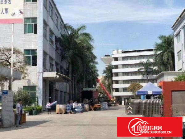东莞寮步新出原房东独门独院厂房出租，环境漂亮，空地大