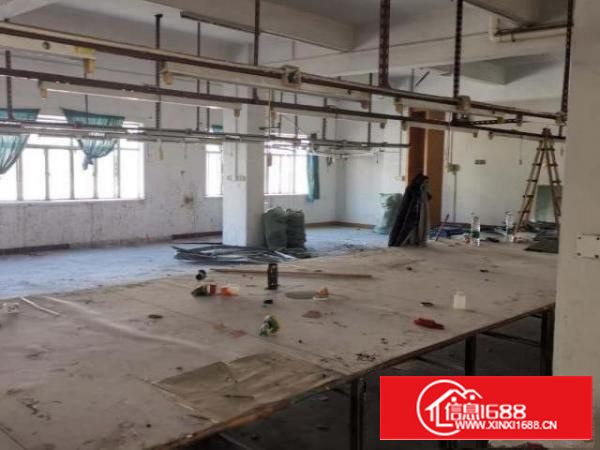 1200平，一二楼厂房招租，有客梯，二楼可以做办公室