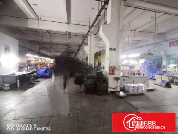 横沥镇原房东新出独门独院工业厂房招租voc排放指标可办环评