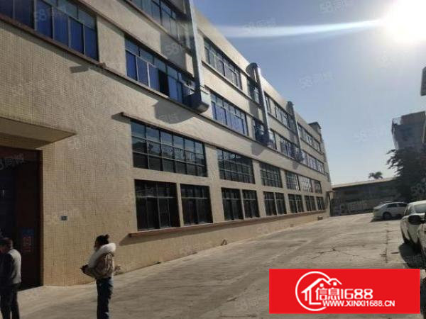 袁山贝原房东标准厂房一楼1800平方，实际面积无公摊，形象好