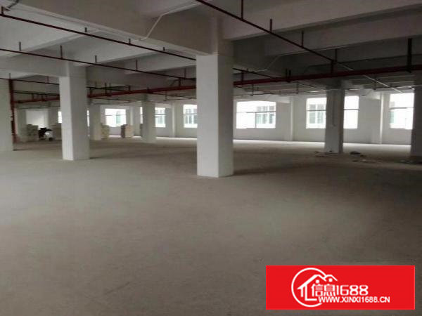 塘厦镇花园式原房东证件齐全独院