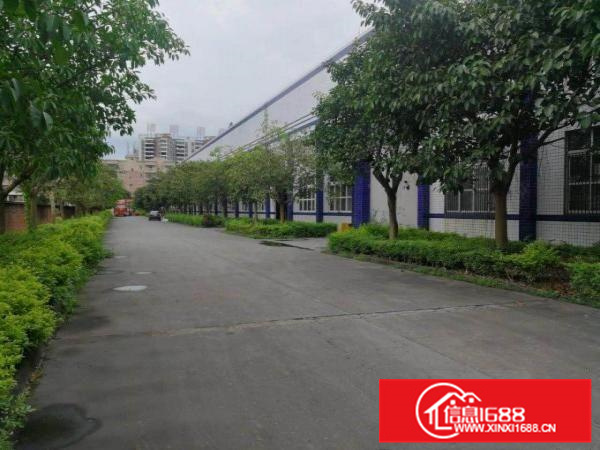 龙溪独门独院单一层砖墙到顶滴水11米面积100000厂房招租