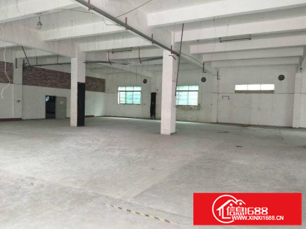 寮步新出独栋厂房1到4层1400平方带2吨全新电梯