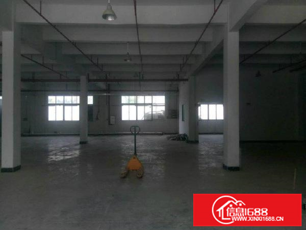 惠阳秋长原房东新出零公摊独院14元1楼标准厂房出租