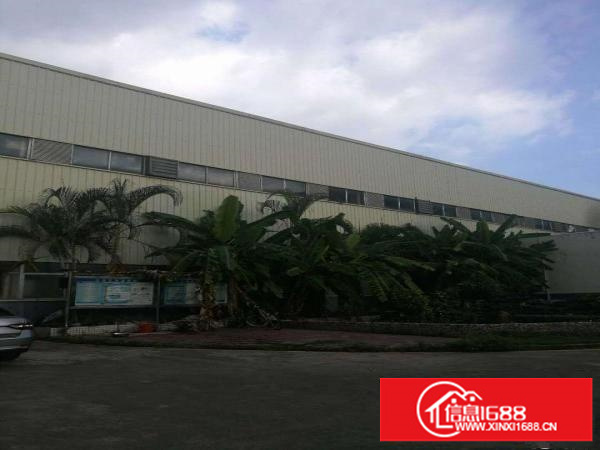 坪山大工业区950平层高10米钢构招租