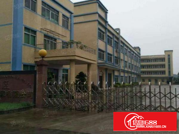 茶山镇新出原房东标准小独门独院厂房3000平方出租