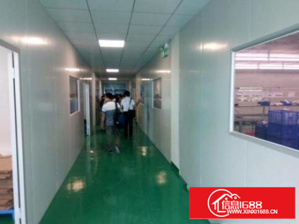 实际面积出租豪华装修