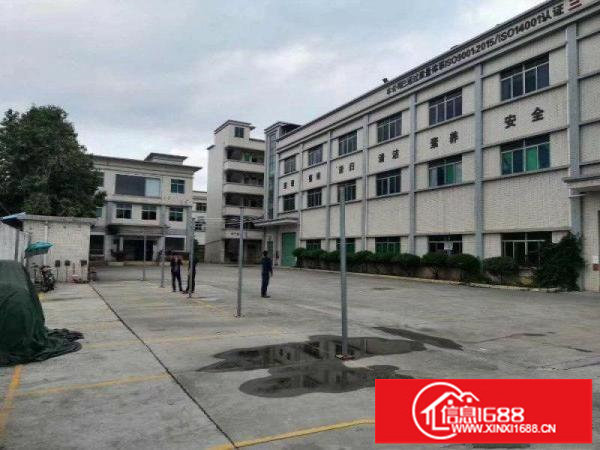 碧岭独院分租一楼985平出租，原房东厂房，面积实在