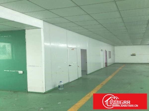 龙岗大型工业园原房东红本独院4500平厂房出租空地大可分租