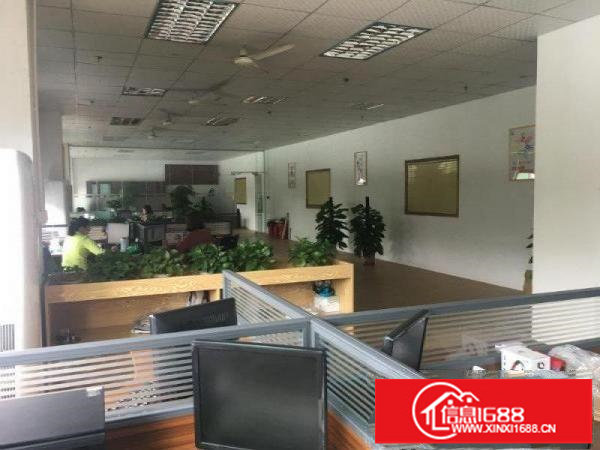 坂田南坑工业区带装修1100平厂房出租