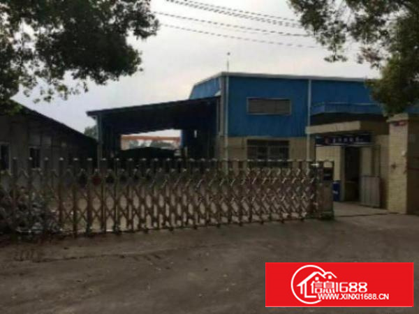 【高埗单一层厂房招租】独院钢构/简易/标准/等