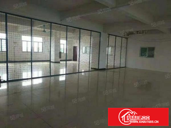 超便宜大朗蔡边独栋二楼500平方厂房租9元一平方