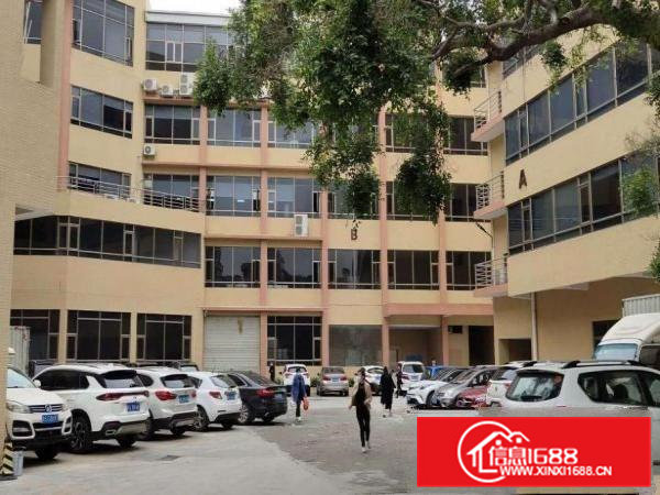 大朗佛新工业区独门独院新出一楼1200平出租水电办公室齐全