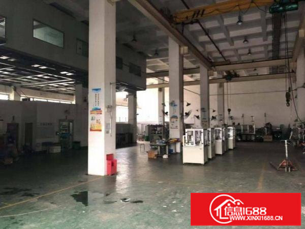 坪山大工业区新出一楼标准厂房1350平层高9.5米可签七年